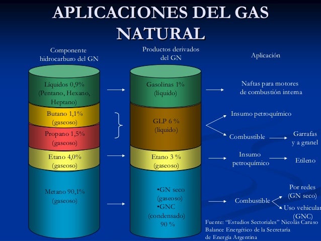 Gas Natural Comprimido Gas Natural Comprimido