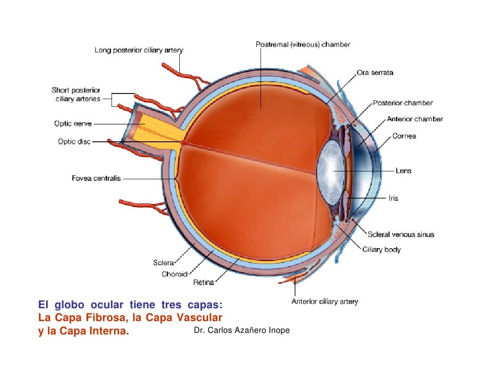 El Ojo 1