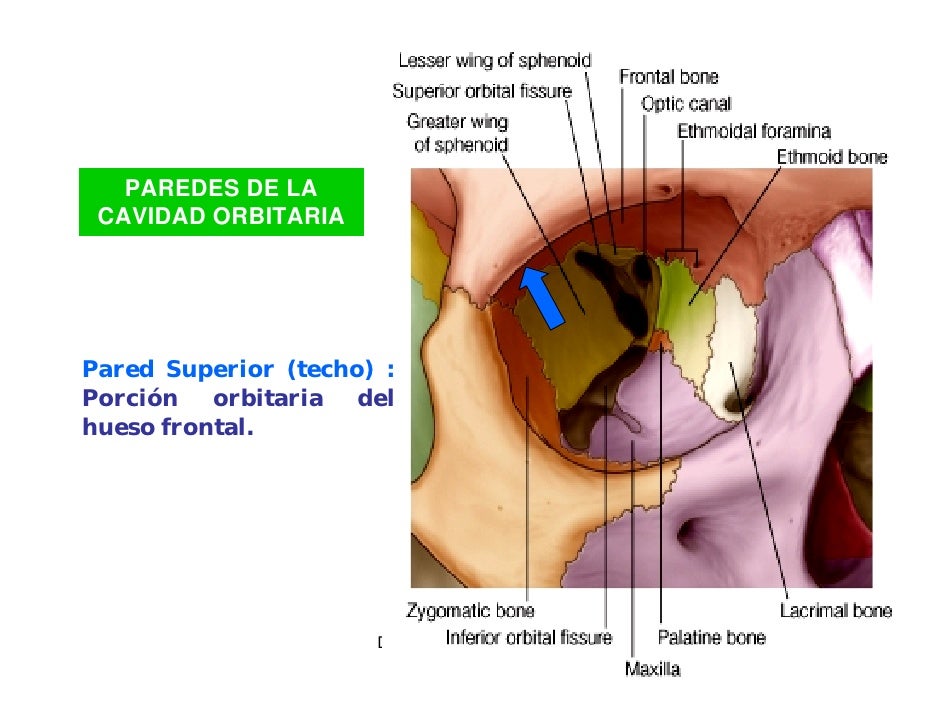 El Ojo 1