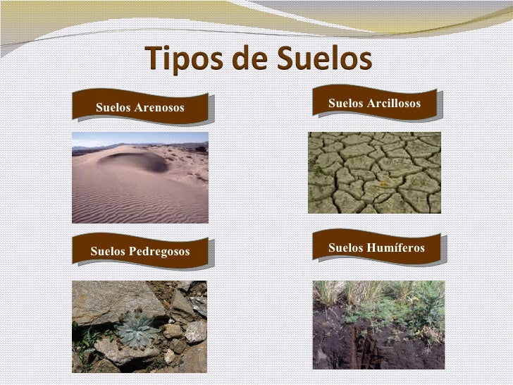 Tipos de suelos arenoso arcilloso humifero - Imagui Tipos de suelos arenoso arcilloso humifero - Imagui