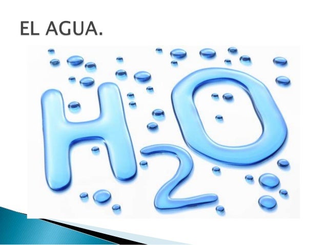 ECOLOGIA DEL AGUA ecologia del agua: