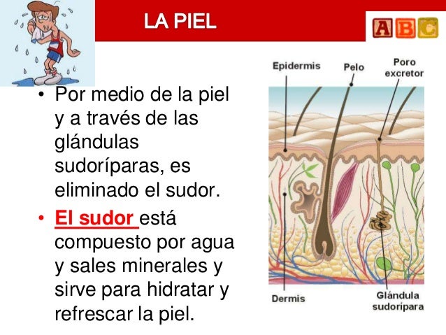 Imagen relacionada