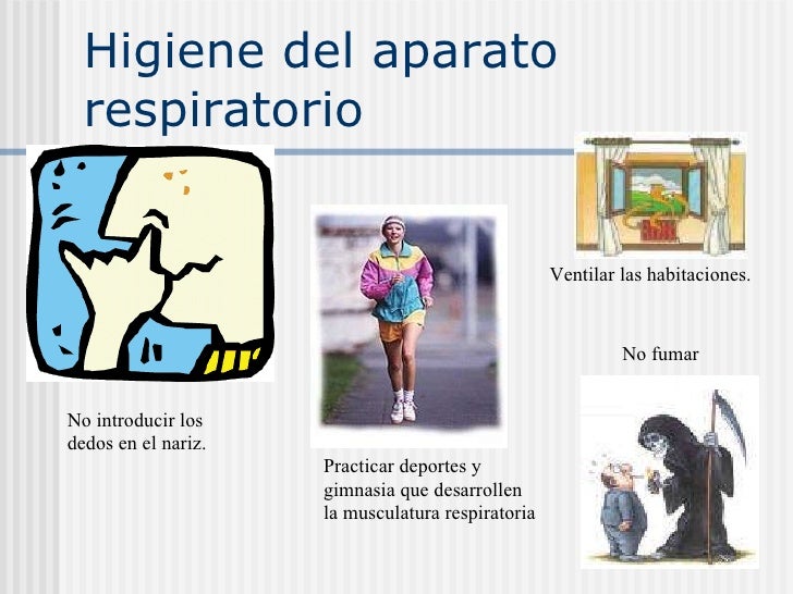 Como a la muchacha adelgazar las casas