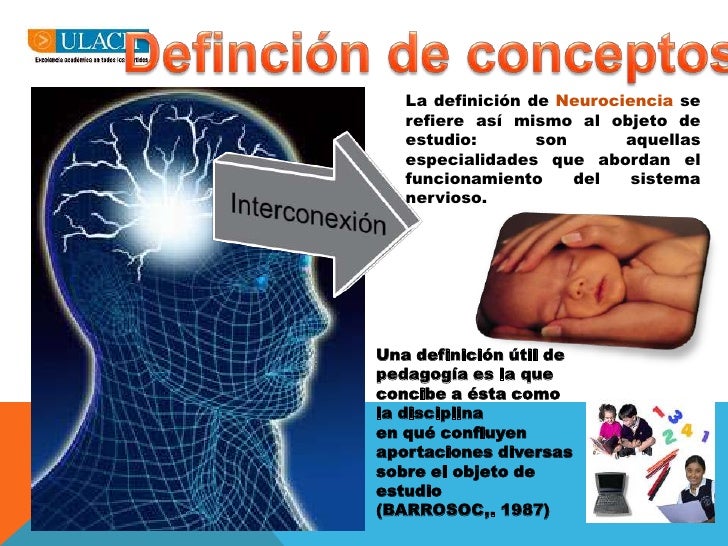 Resultado de imagen para que es la neurociencia