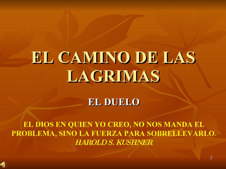 El Camino De Las Lagrimas Copia