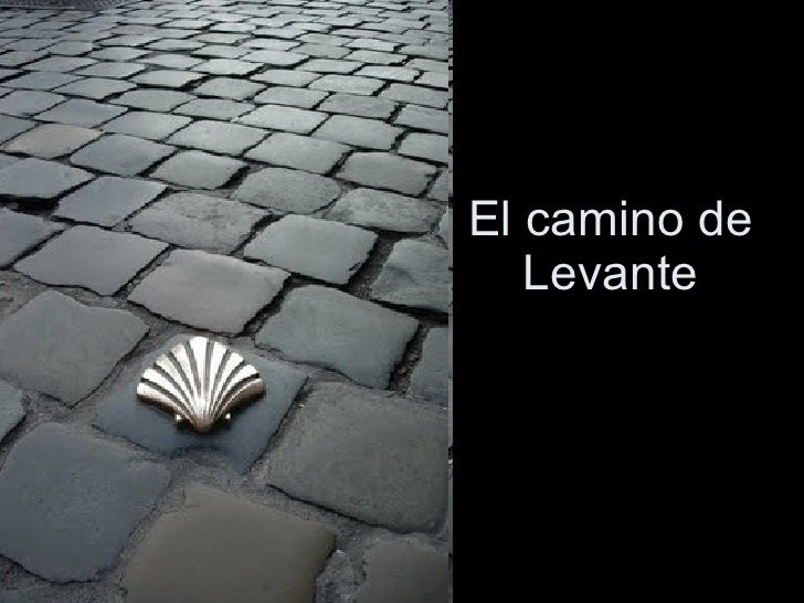 LEVANTE EL levante el: