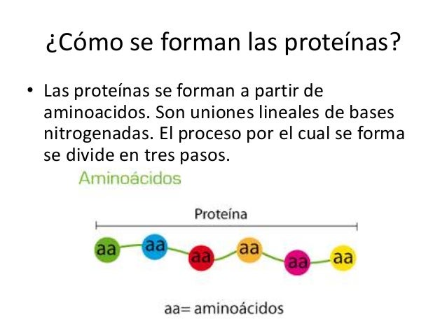 El código genético y síntesis de proteínas