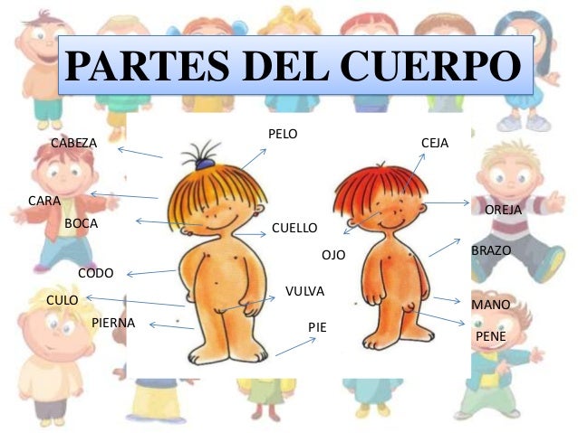 parte superior escoltas privadas pecho parte superior escoltas privadas pecho