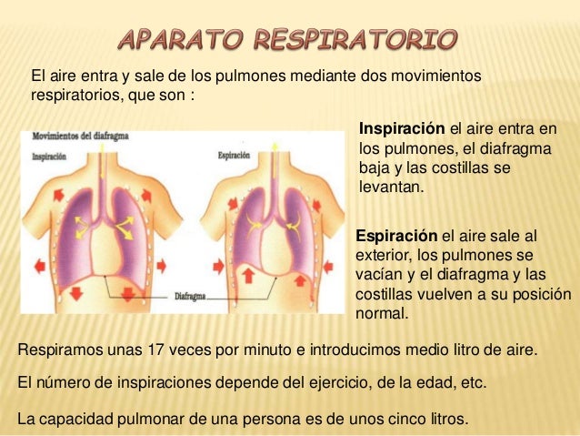 Un pequeño pecho de mi tía porno