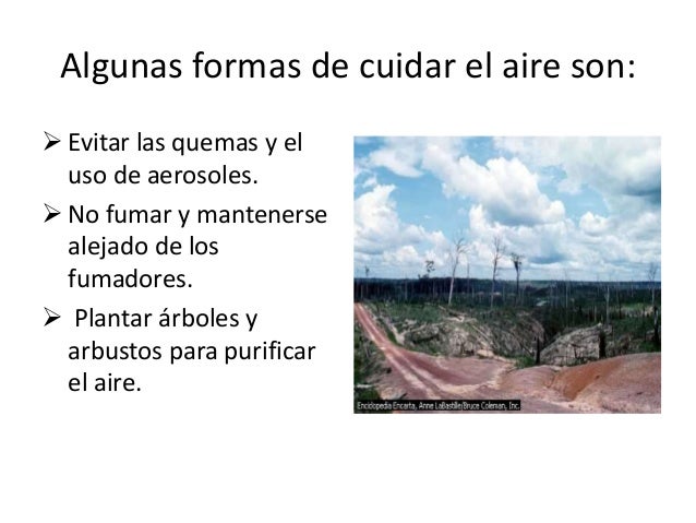 Imagenes del cuidado del aire - Imagui Imagenes del cuidado del aire - Imagui