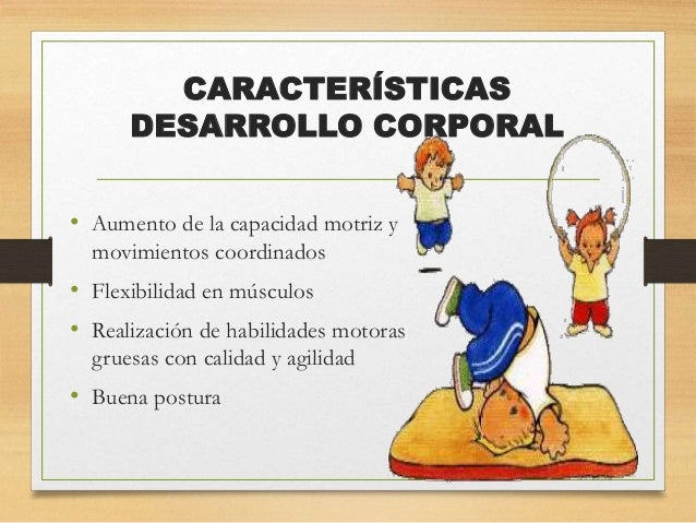 Los anabólicos que aumentan el miembro viril