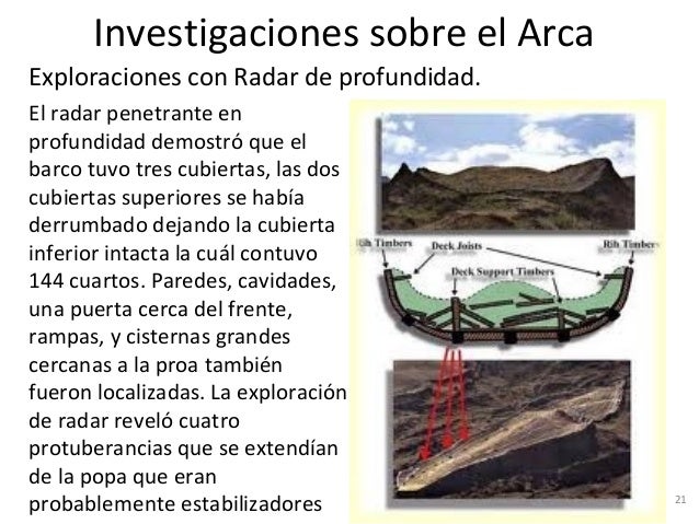 arca arca