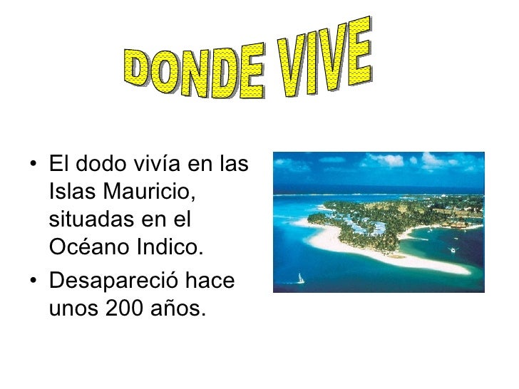 El Dodo