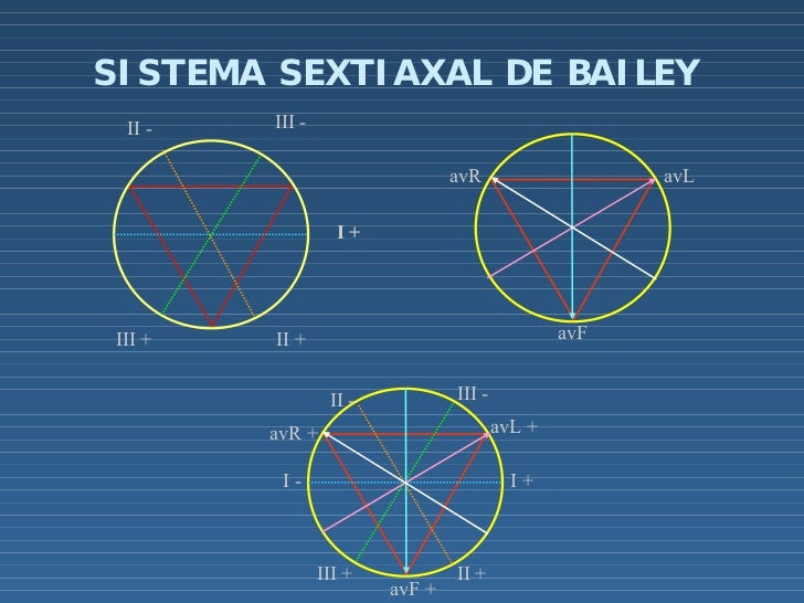 Electrofisiologia Basica Celula Cardiaca