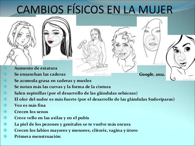 Si es posible aumentar por medio de la masturbación el miembro viril