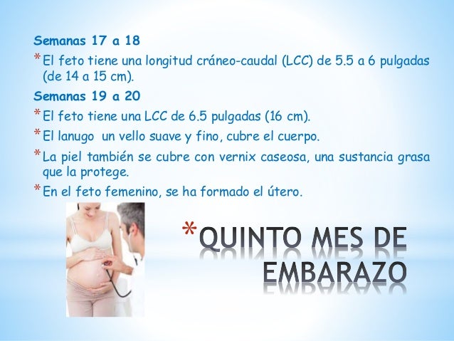Como adelgazar para los niños perezosos de 12 años