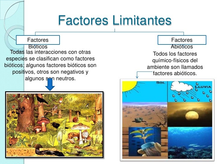 Elementos de la Ecologia
