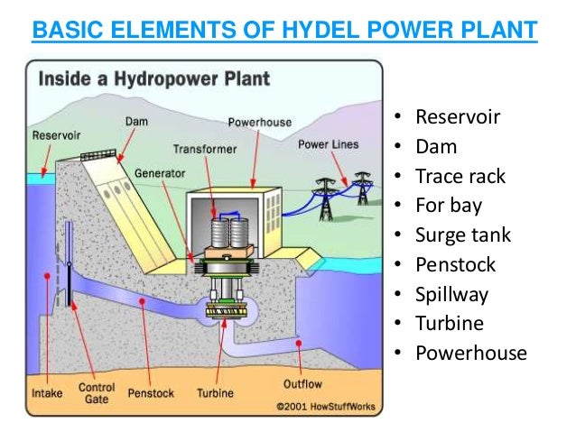 how plants power electricity store Elements PLANTS HYDRO of POWER ELECTRIC