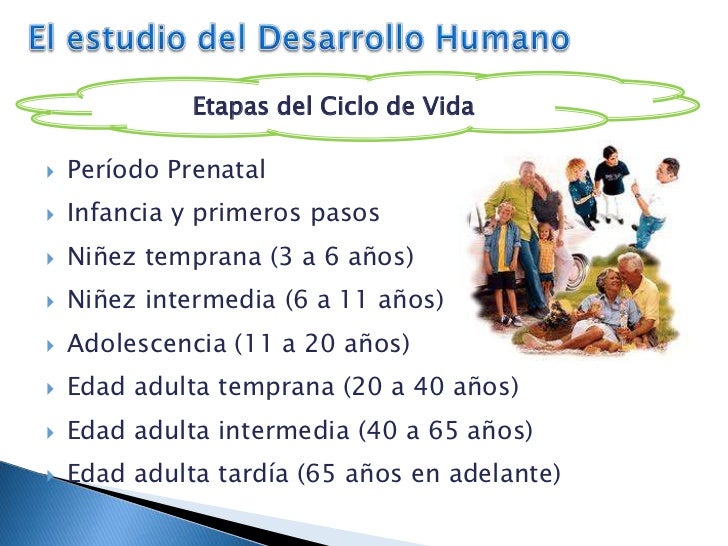 El estudio del desarrollo humano I Profesora z budet El estudio del desarrollo humano I Profesora z budet