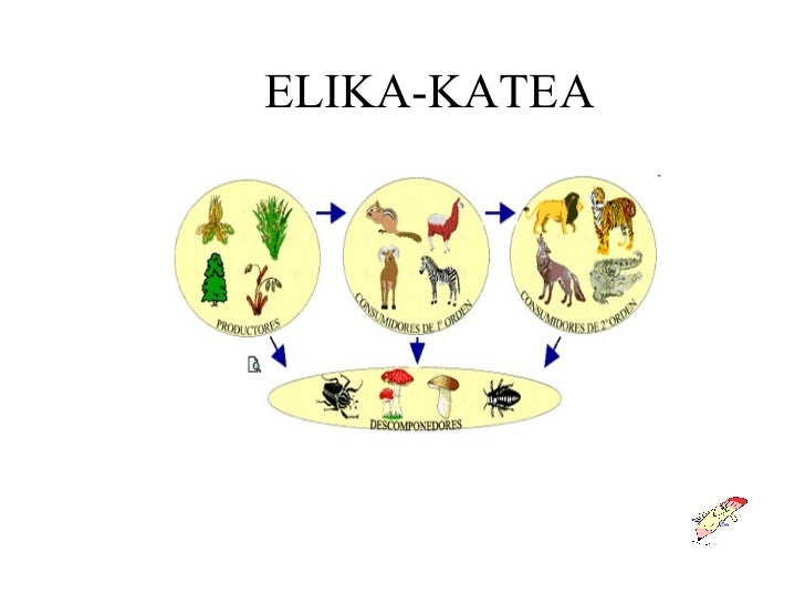 http://www.educaplay.com/es/recursoseducativos/641152/html5/elika_katea.htm#!