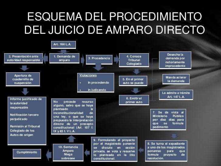 El juicio de amparo directo.