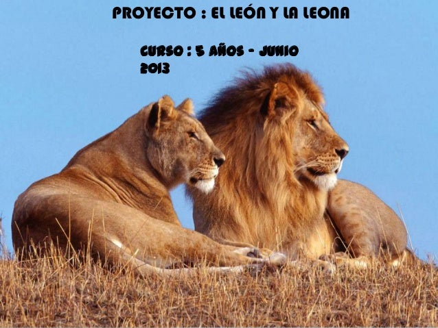 El velador y la secretaria 4