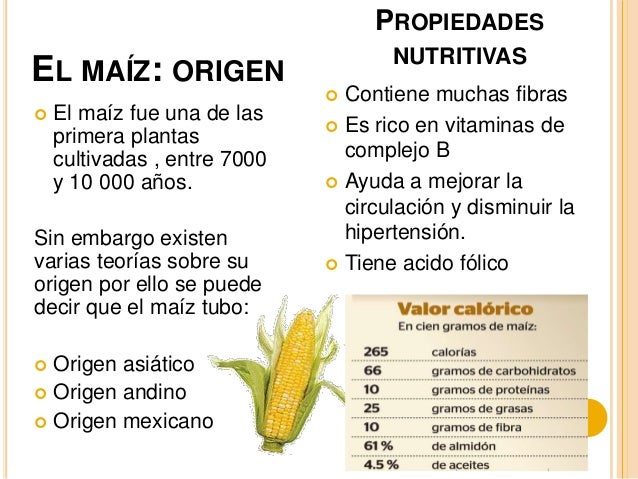 El MAÍZ