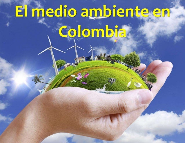 El forex en colombia