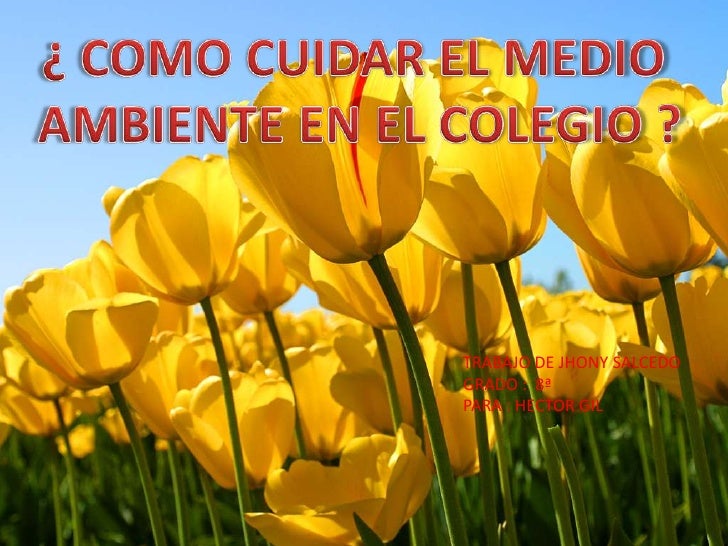 El medio ambiente en nuestro colegio El medio ambiente en nuestro colegio