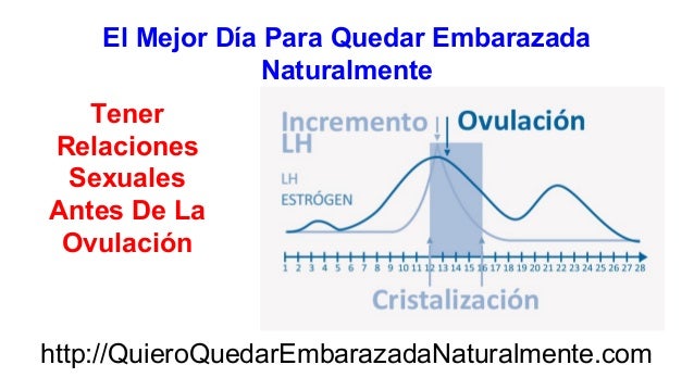 calendario de fertilidad para no quedar embarazada