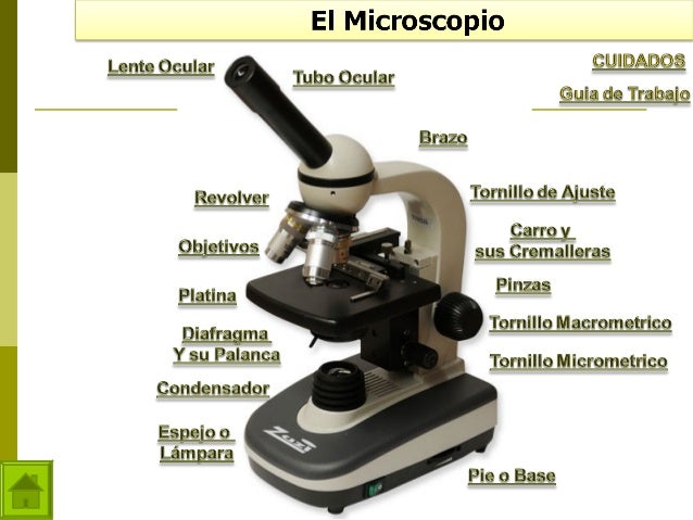 El microscopio
