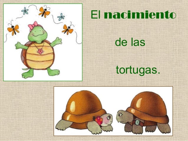 E l nacimiento de las tortugas. cuento sobre la familia.