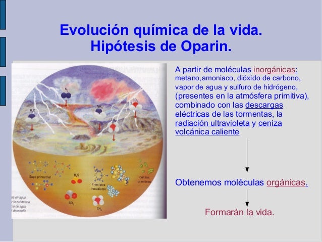 El origen de la vida solo