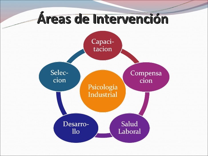 Cuáles Son Las áreas De Intervención