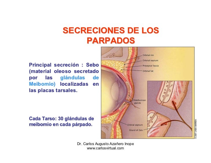 El hematoma sobre el ojo con el hinchazón
