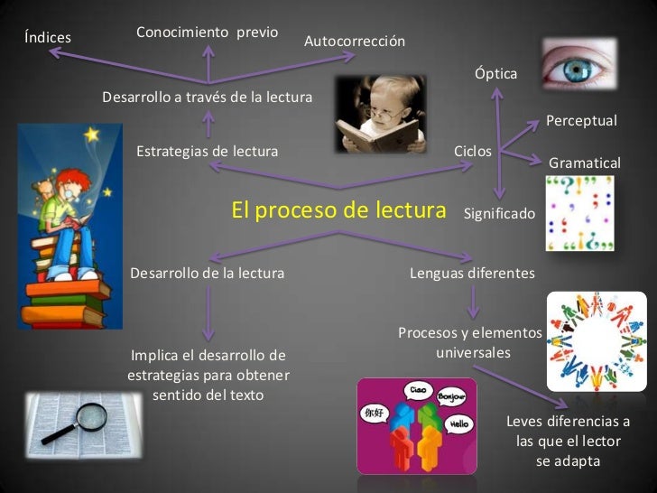 El proceso de lectura