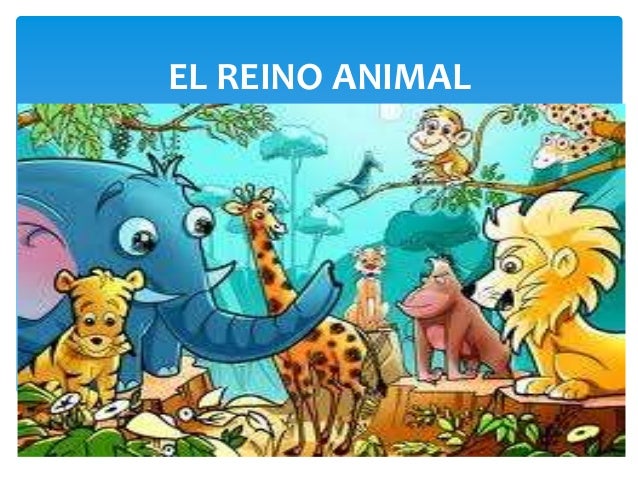 IMAGEN DEL REINO ANIMAL imagen del reino animal: