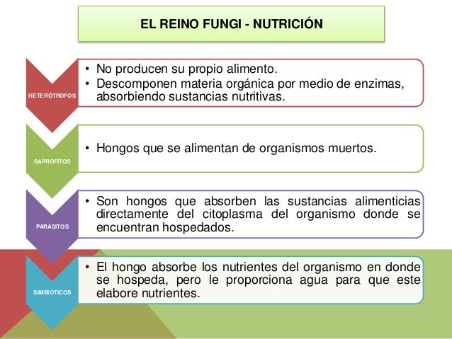 La infección en la sangre el hongo las uñas