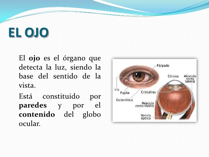 Cuál Es El Sentido De Esta Imagen es.slideshare.net