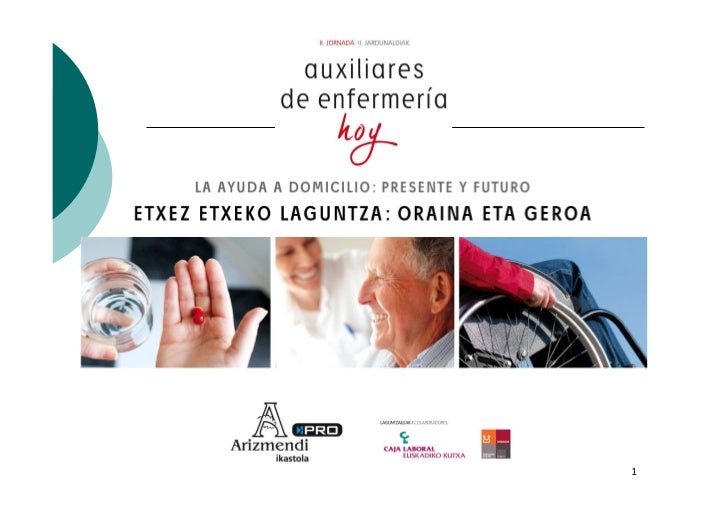 EL SERVICIO DE AYUDA A DOMICILIO el servicio de ayuda a domicilio: