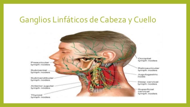 El dolor en el cielo a sheynom la osteocondrosis