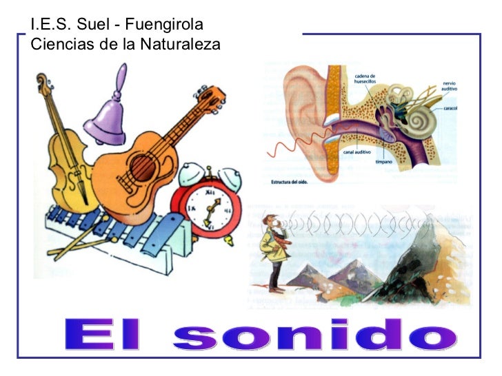 1ºD fisica El sonido 1ºD fisica El sonido