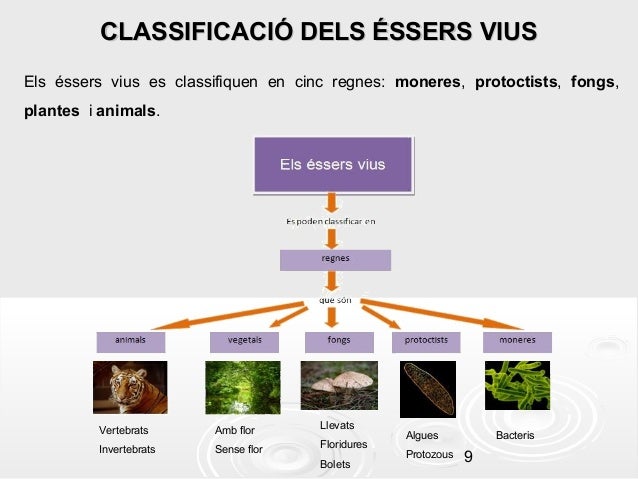 Els éssers vius