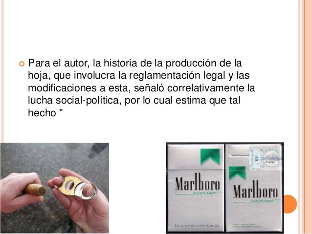 Envuelve tus pies en hojas de col y te sorprenderas de los Envuelve tus pies en hojas de col y te sorprenderas de los