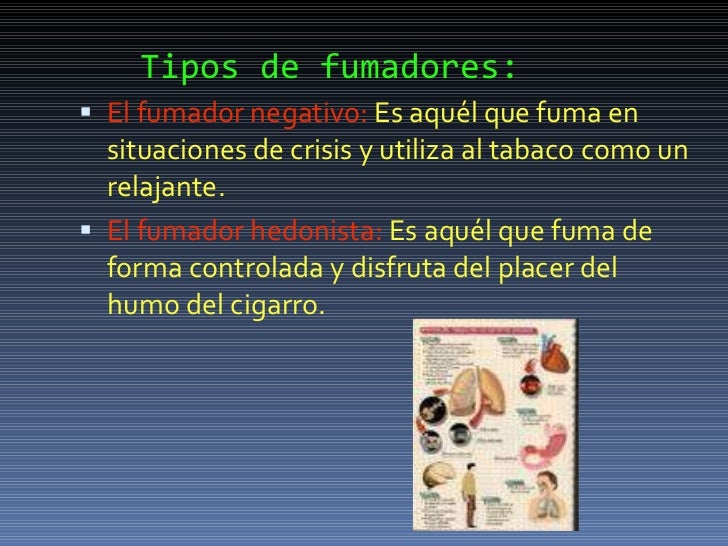 Como adelgazar es eficaz en las condiciones de casa a 10 kg