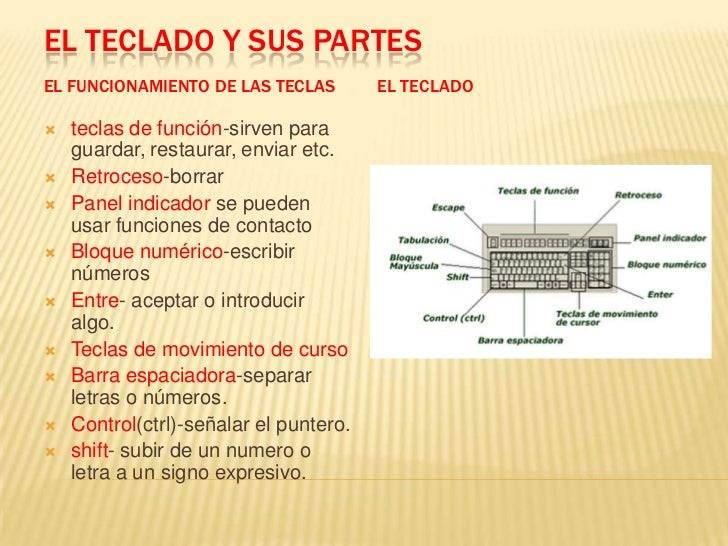 EL TECLADO Y SUS PARTES el teclado y sus partes:
