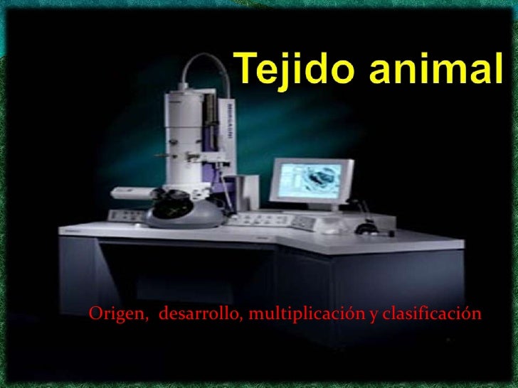 Tejido animal