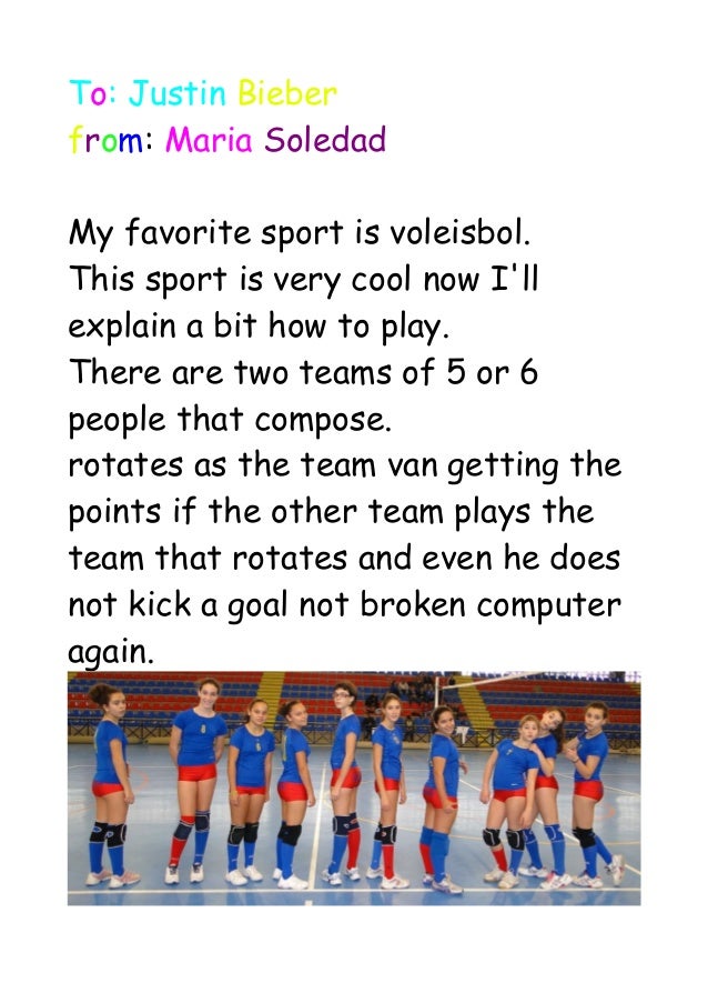 Volleyball essay example image