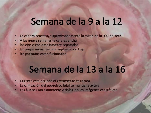 Habiendo dejado fumar se ha repuesto