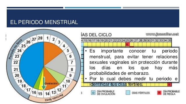 cuando son los dias mas fertiles para embarazarse